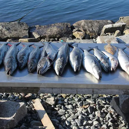 Fjordhytte-2 Am Hardangerfjord, Grandioses Fjordpanorama, 20 Ps Motorboot Mietbar! Feriehus