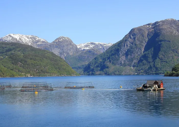 Tatil Evi Fjordhytte-2 Am Hardangerfjord, Grandioses Fjordpanorama, 20 Ps Motorboot Mietbar! *