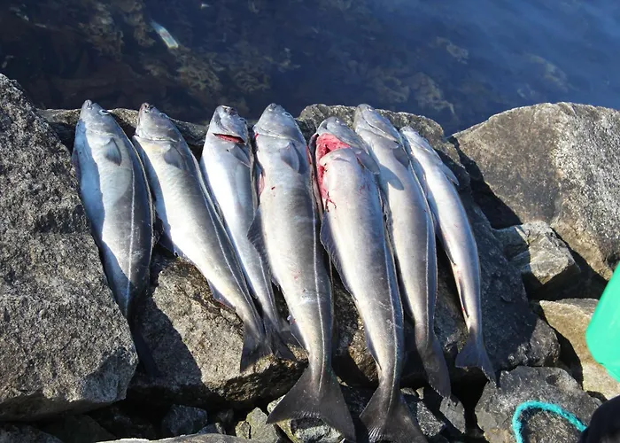 Semesterbostad Fjordhytte-2 Am Hardangerfjord, Grandioses Fjordpanorama, 20 Ps Motorboot Mietbar! Aenes